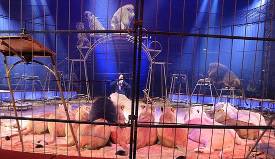 Circus Krone 1. Winterspielzeit 2020: „Hereinspaziert - Manege frei!“ ist der Programmtitel des ersten Programmes der 101. Wintersaison. Premiere am 25.12.2019.